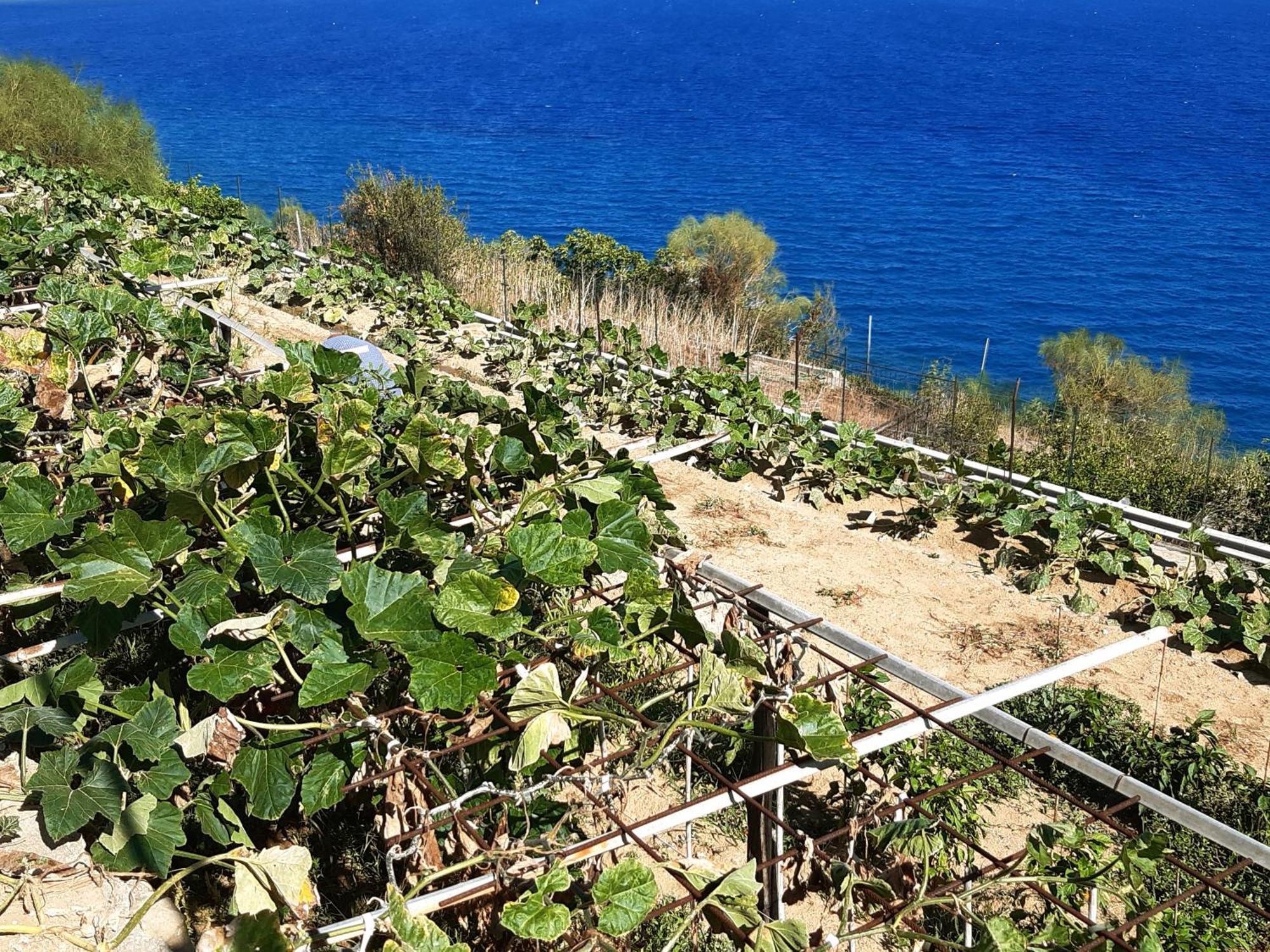 Gli Orti Sul Mare 2 Vista Mare Bordighera Exterior foto